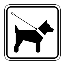 ARRETE MUNICIPAL DIVAGATION DES CHIENS